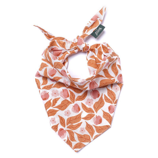 Apple Crisp Dog Bandana