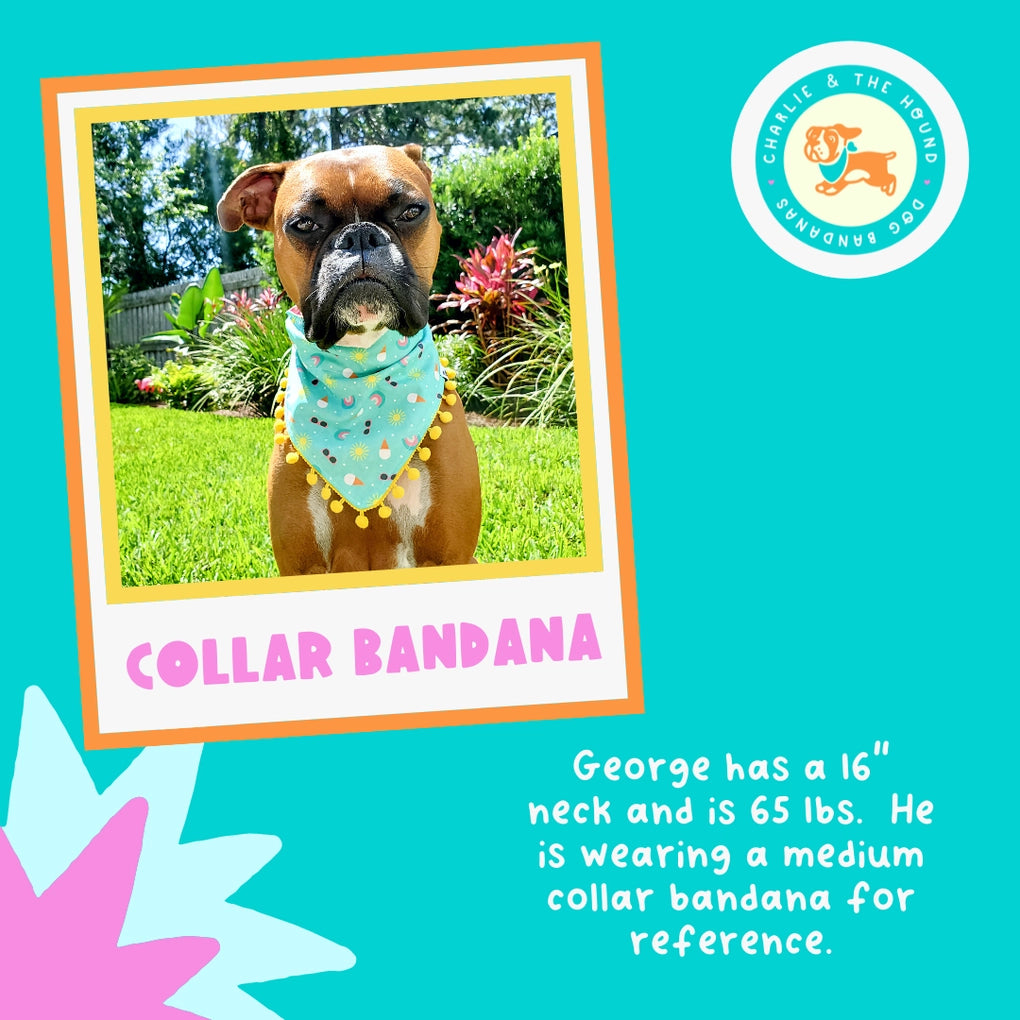 Beach Day - REVERSIBLE Dog Collar Bandana