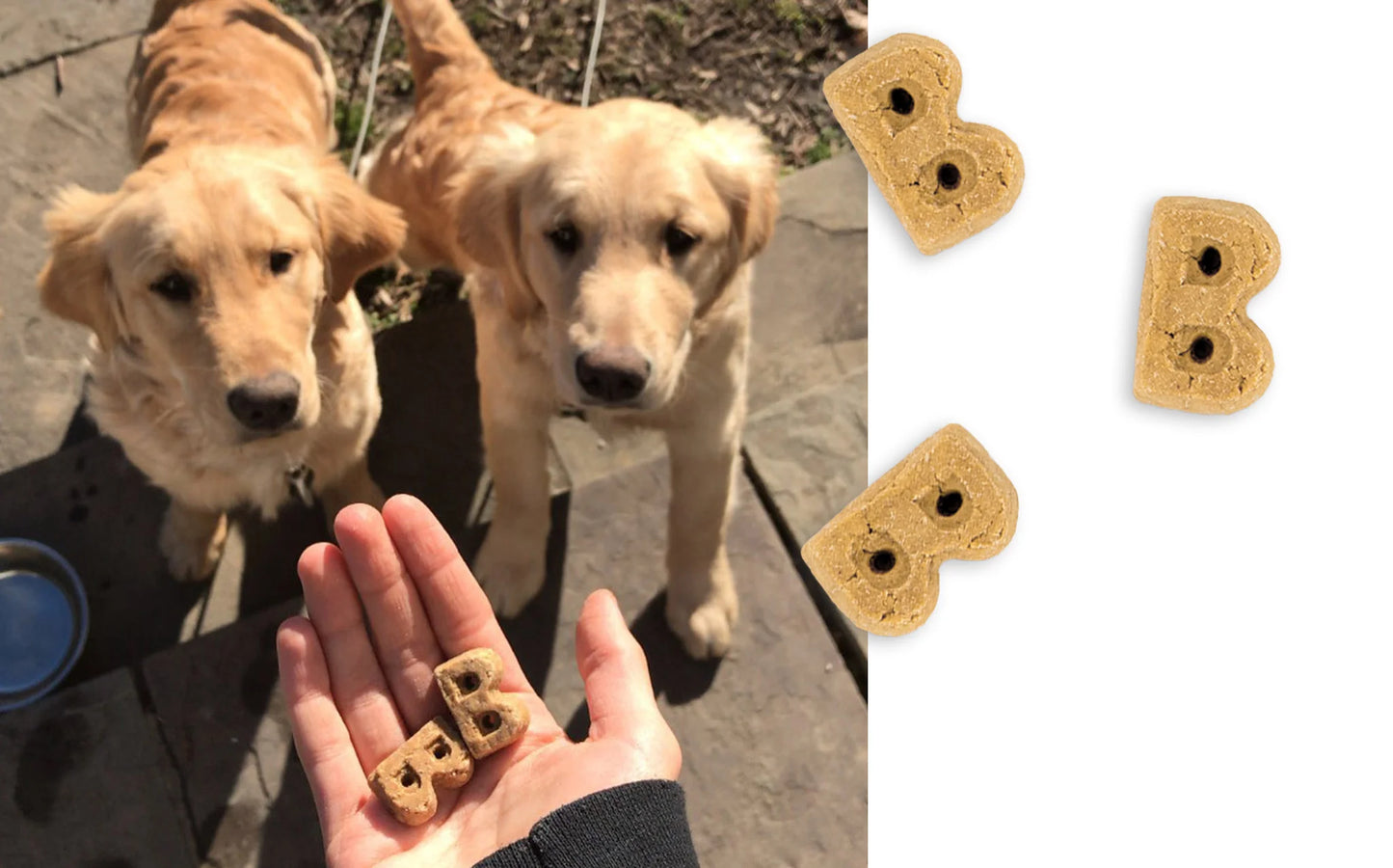 Bocce's Bakery Basics Oven-Baked Biscuits - Chicken