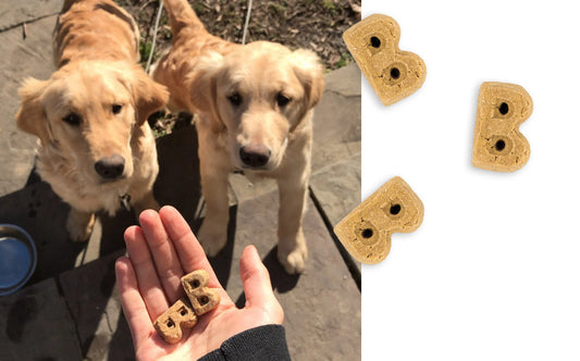 Bocce's Bakery Basics Oven-Baked Biscuits - Chicken