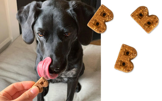 Bocce's Bakery Dailies Soft & Chewy Treats
