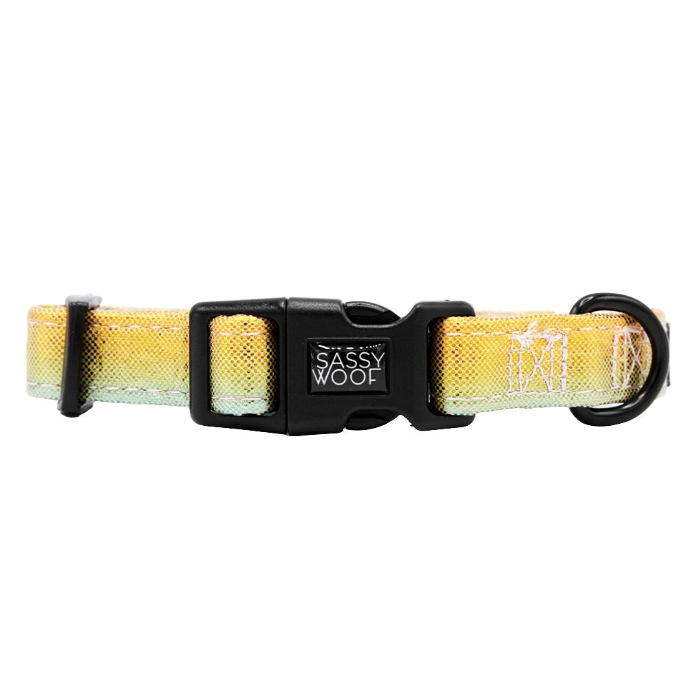 Dog Collar - the Night Life (Reflective)