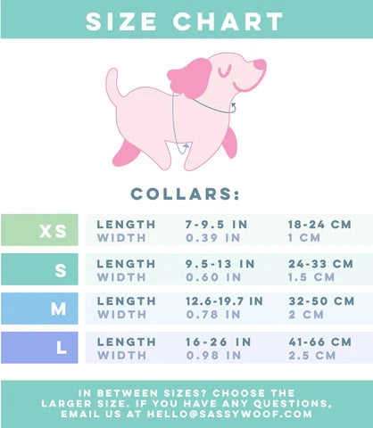 Dog Collar - the Night Life (Reflective)