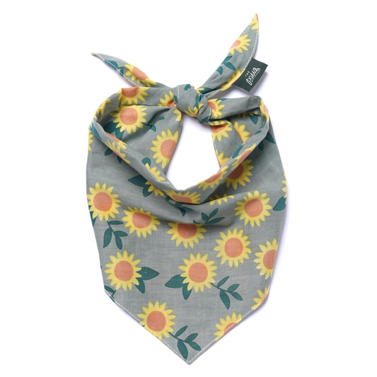 Cromwell Fall Dog Bandana