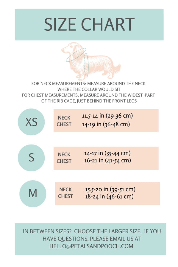 Petals & Pooch -Dessert Dash Adjustable Harness