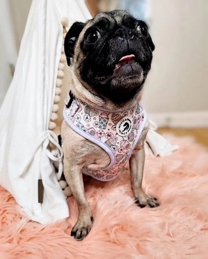 Petals & Pooch -Dessert Dash Adjustable Harness