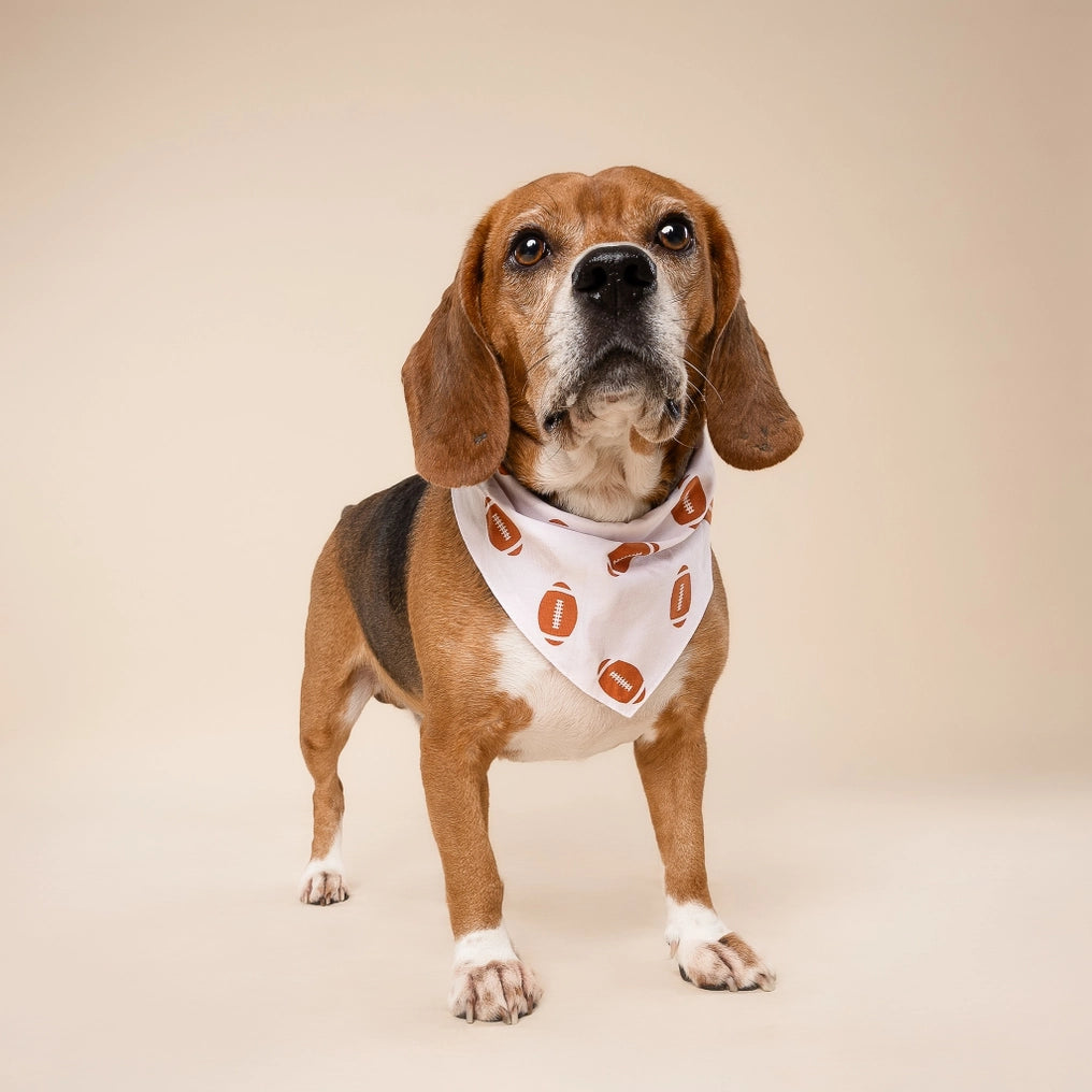 Quarterback Football Dog Bandana