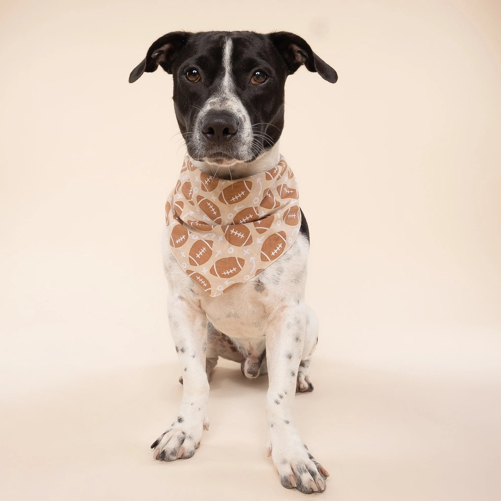 Blitz Football Dog Bandana