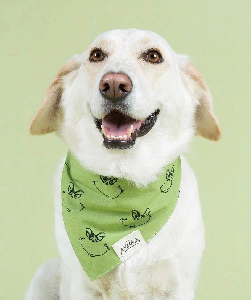 Grinch Dog Bandana
