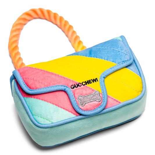 Gucchewy Rainbow Purse