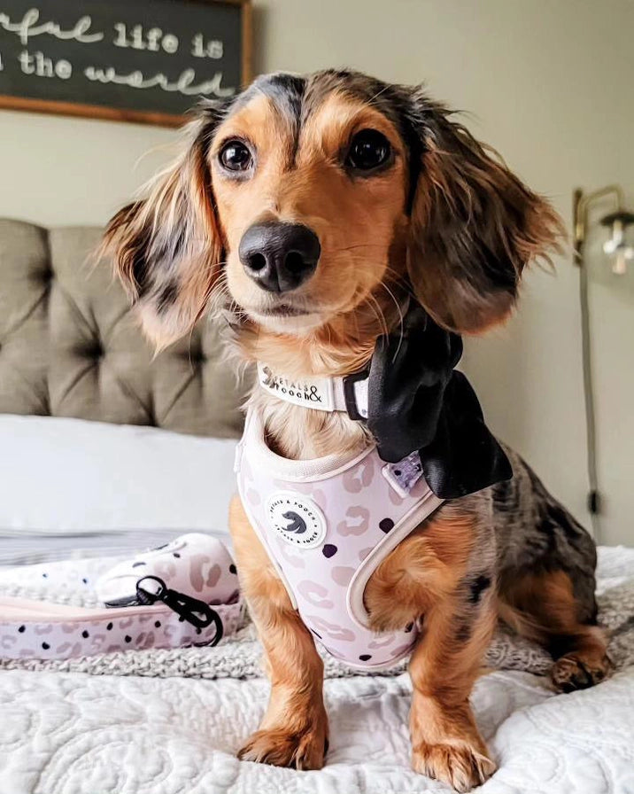 Petals & Pooch - Nude Leopard Adjustable Harness
