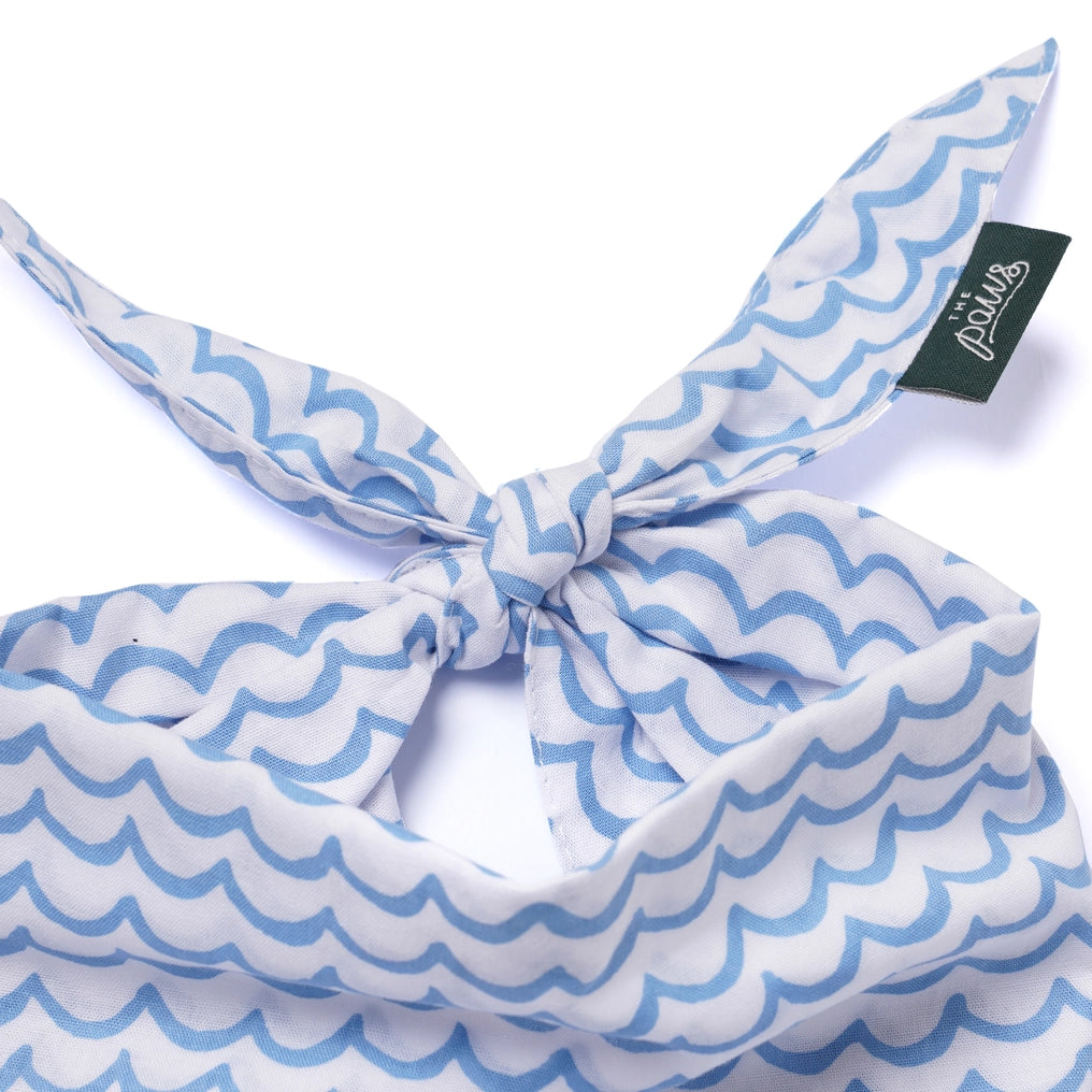 Sea - Dog Bandana