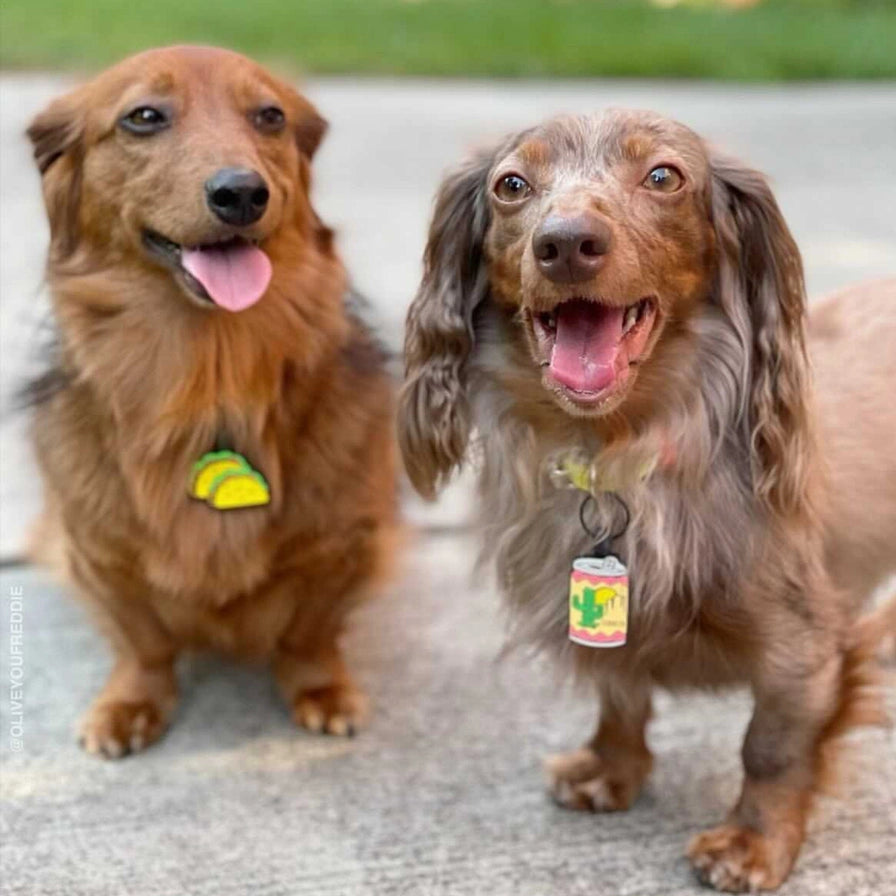 Tacos and Beer Bff Silicone Pet Id Tags