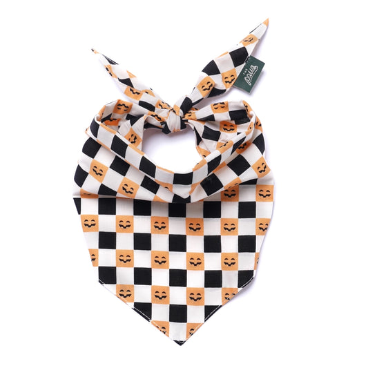 Trick or Treat Halloween Dog Bandana