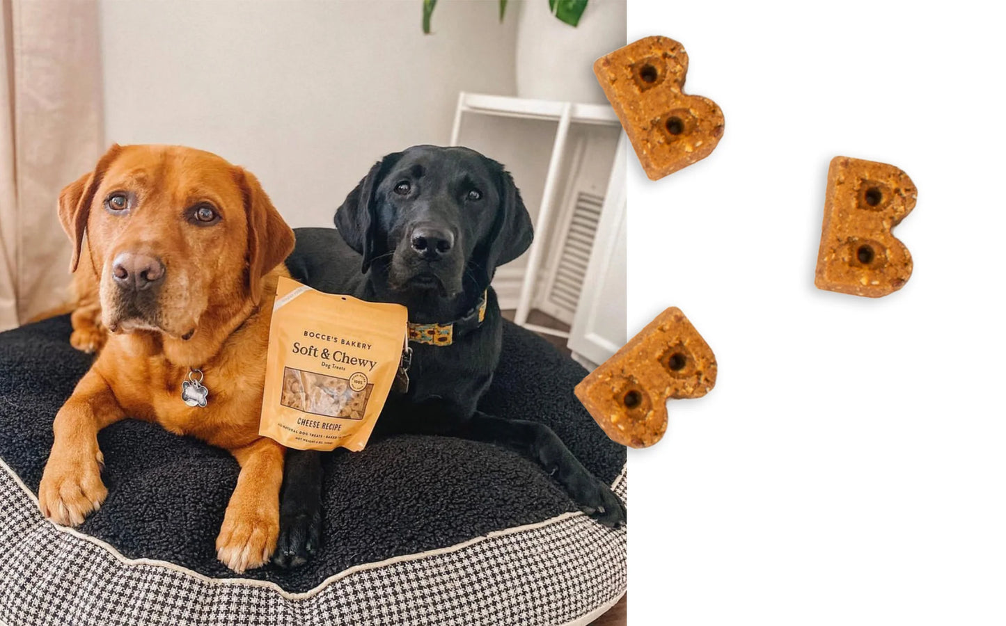 Bocce's Bakery Basics Soft & Chewy Treats - Cheese