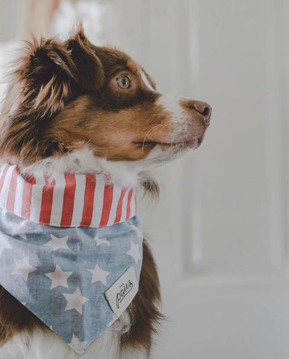 National Dog Bandana