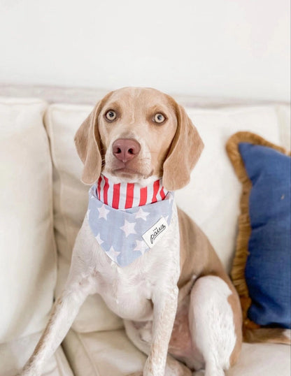 National Dog Bandana