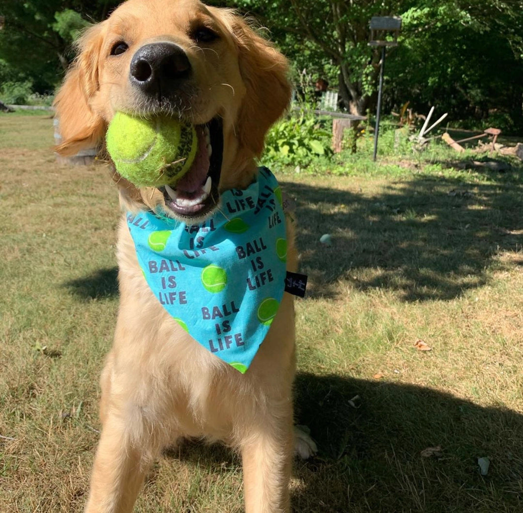 Ball Is Life Dog Bandana