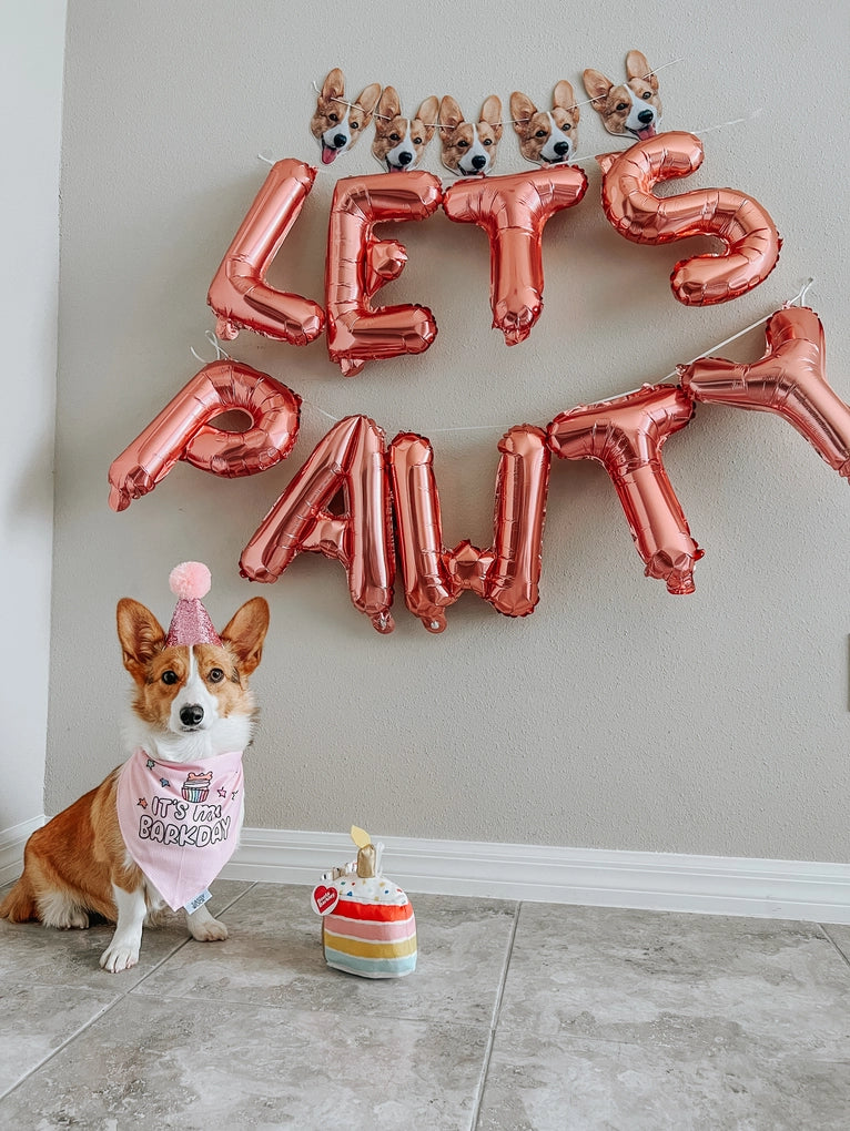 Dog Bandana - Barkday (Pink)