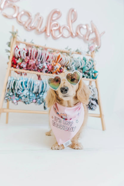 Dog Bandana - Barkday (Pink)