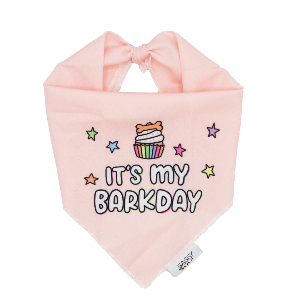 Dog Bandana - Barkday (Pink)