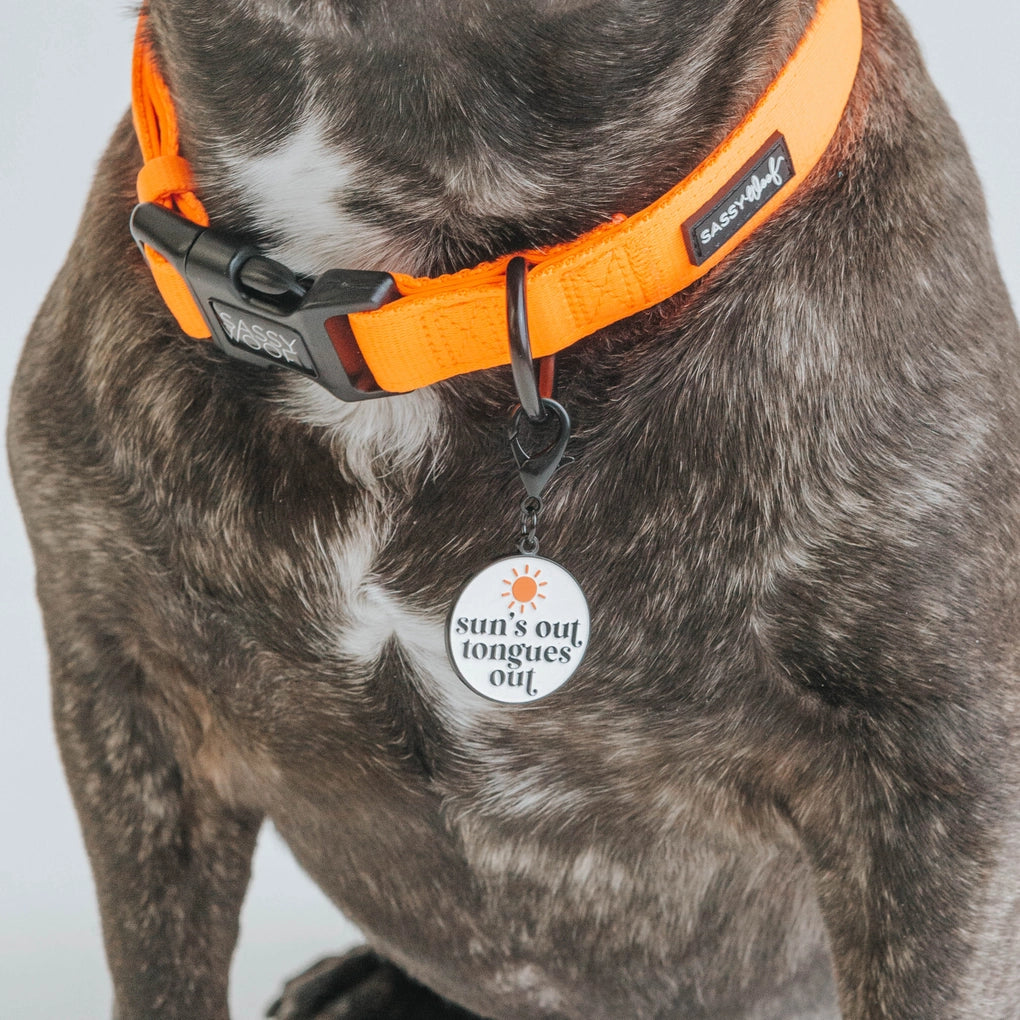 Dog Collar Tag - Sun's Out Tongues Out