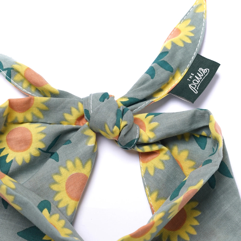 Cromwell Fall Dog Bandana