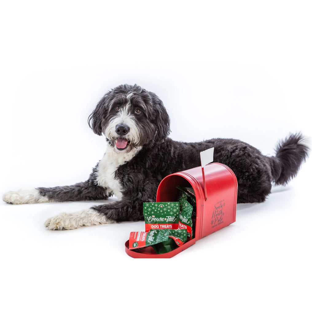 Nothin' But the Fixins Crunchy Dog Treats