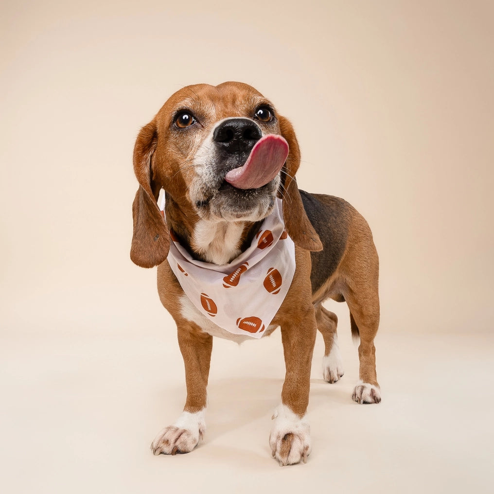 Quarterback Football Dog Bandana