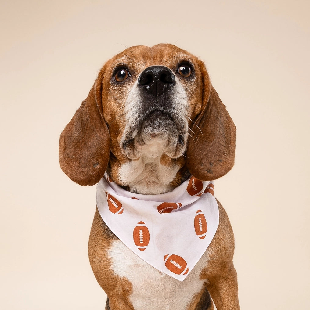 Quarterback Football Dog Bandana