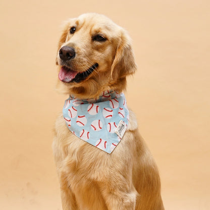 Home Run Dog Bandana