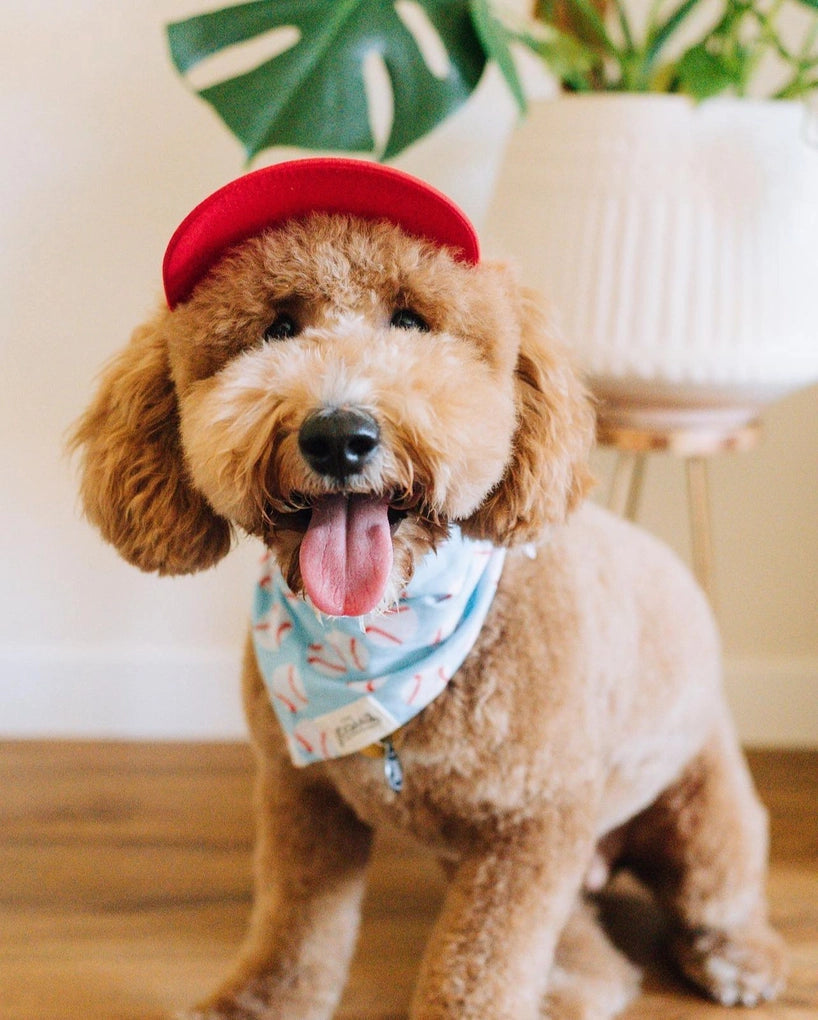 Home Run Dog Bandana