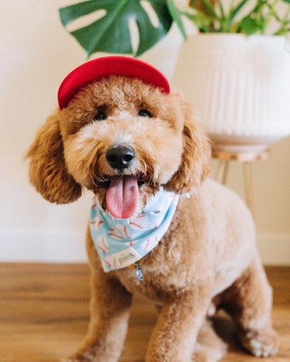 Home Run Dog Bandana