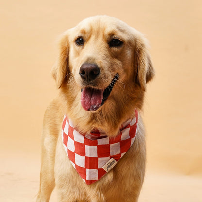 Kings Dog Bandana