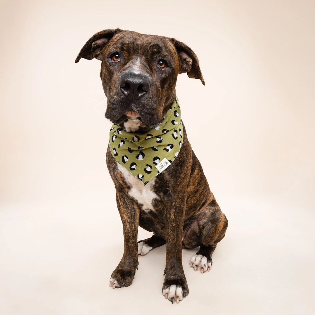Olive Dog Bandana