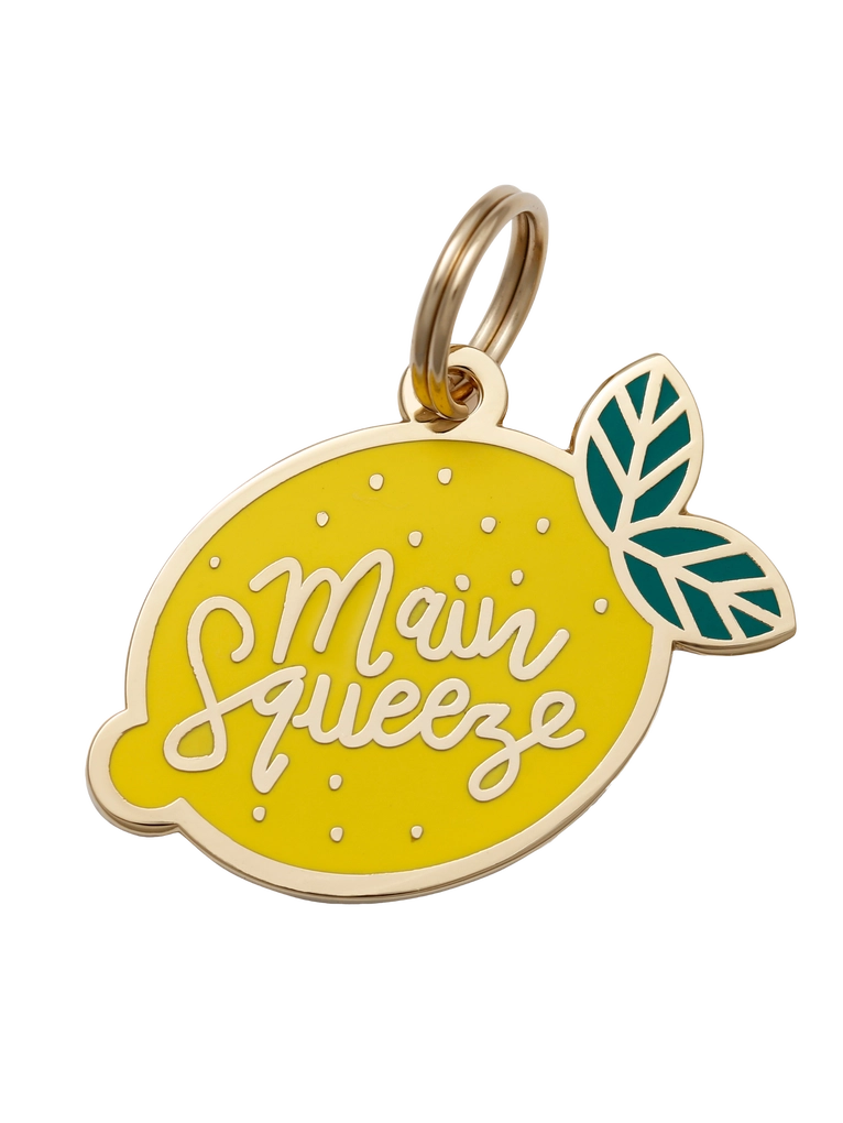 Main Squeeze Pet ID Tag