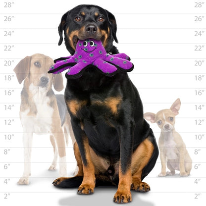 Tuffy Ocean Small Octopus, Durable, Tough, Squeaky Dog Toy