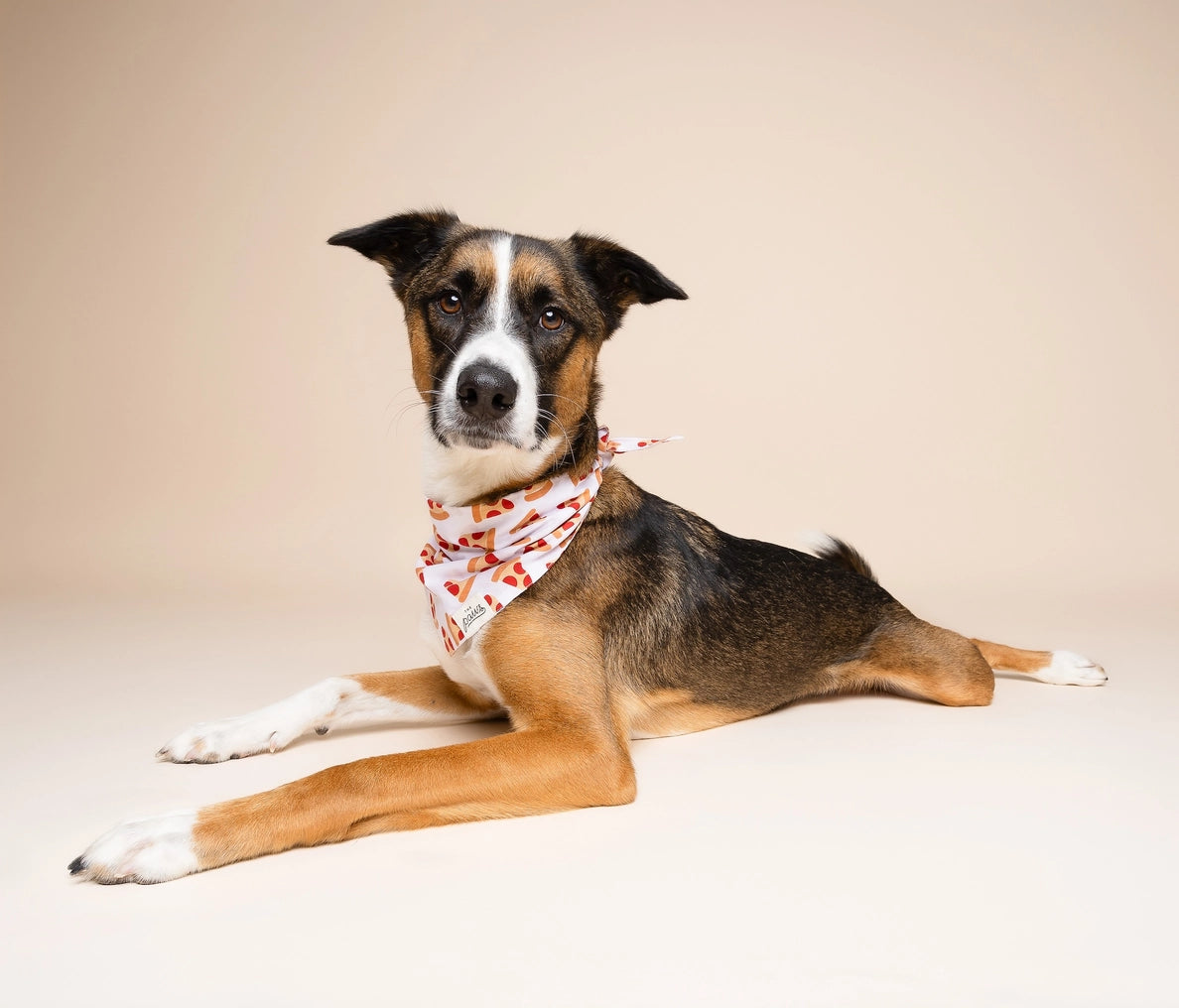 Pizza Dog Bandana