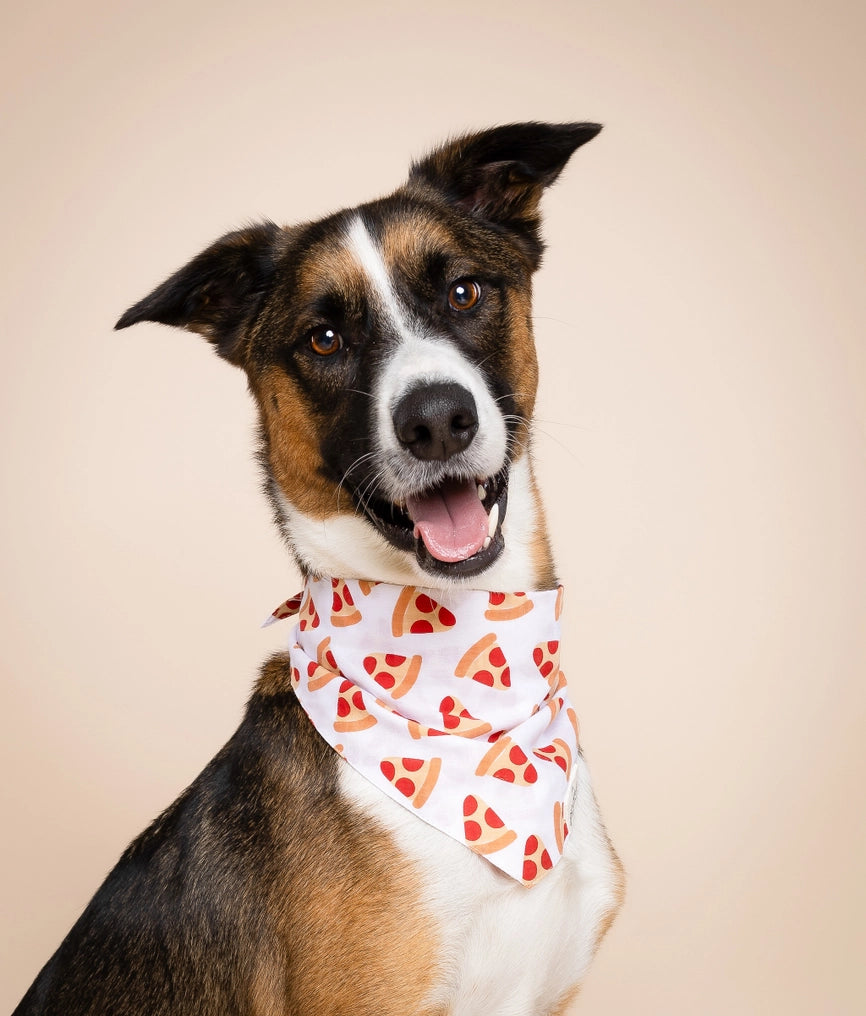 Pizza Dog Bandana