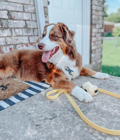 Dog Waste Bag Holder - Yellow