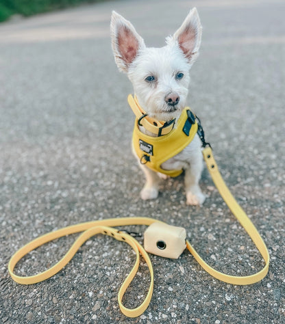 Dog Waste Bag Holder - Yellow