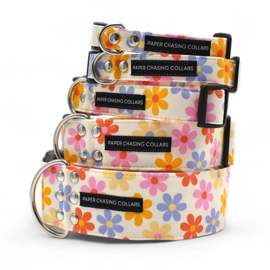 Retro Daisy Dog Collar