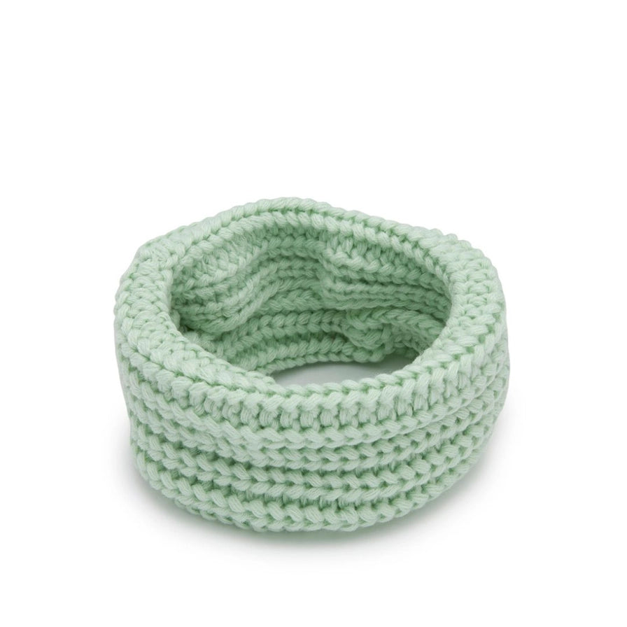 Mint Infinity Dog Scarf