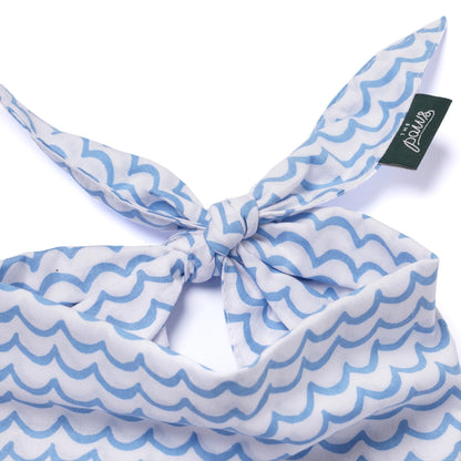 Sea - Dog Bandana