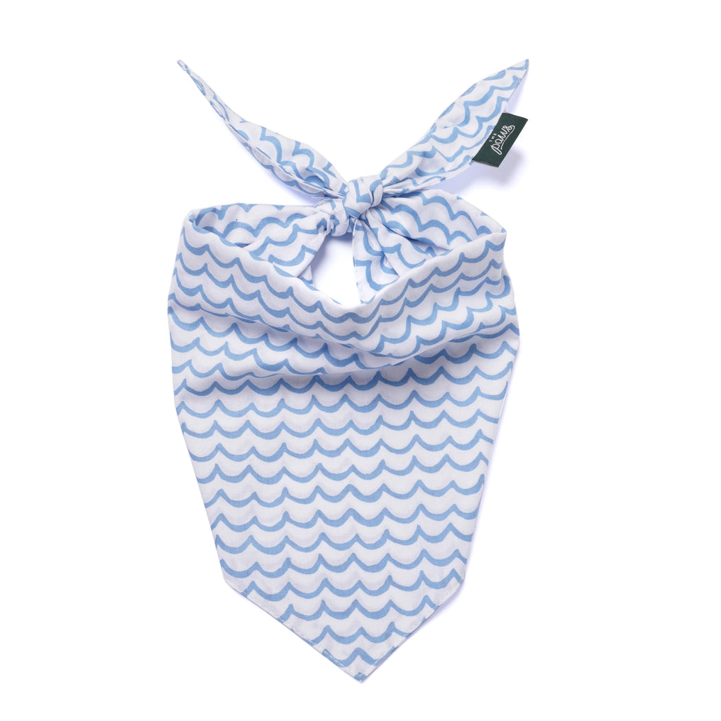 Sea - Dog Bandana