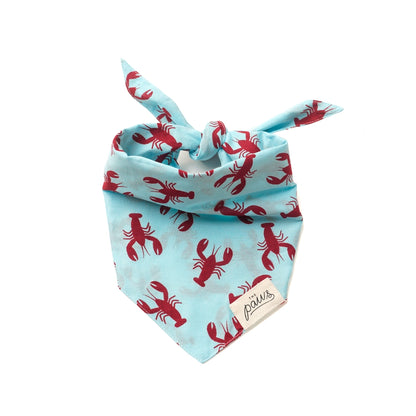 Sebago Dog Bandana