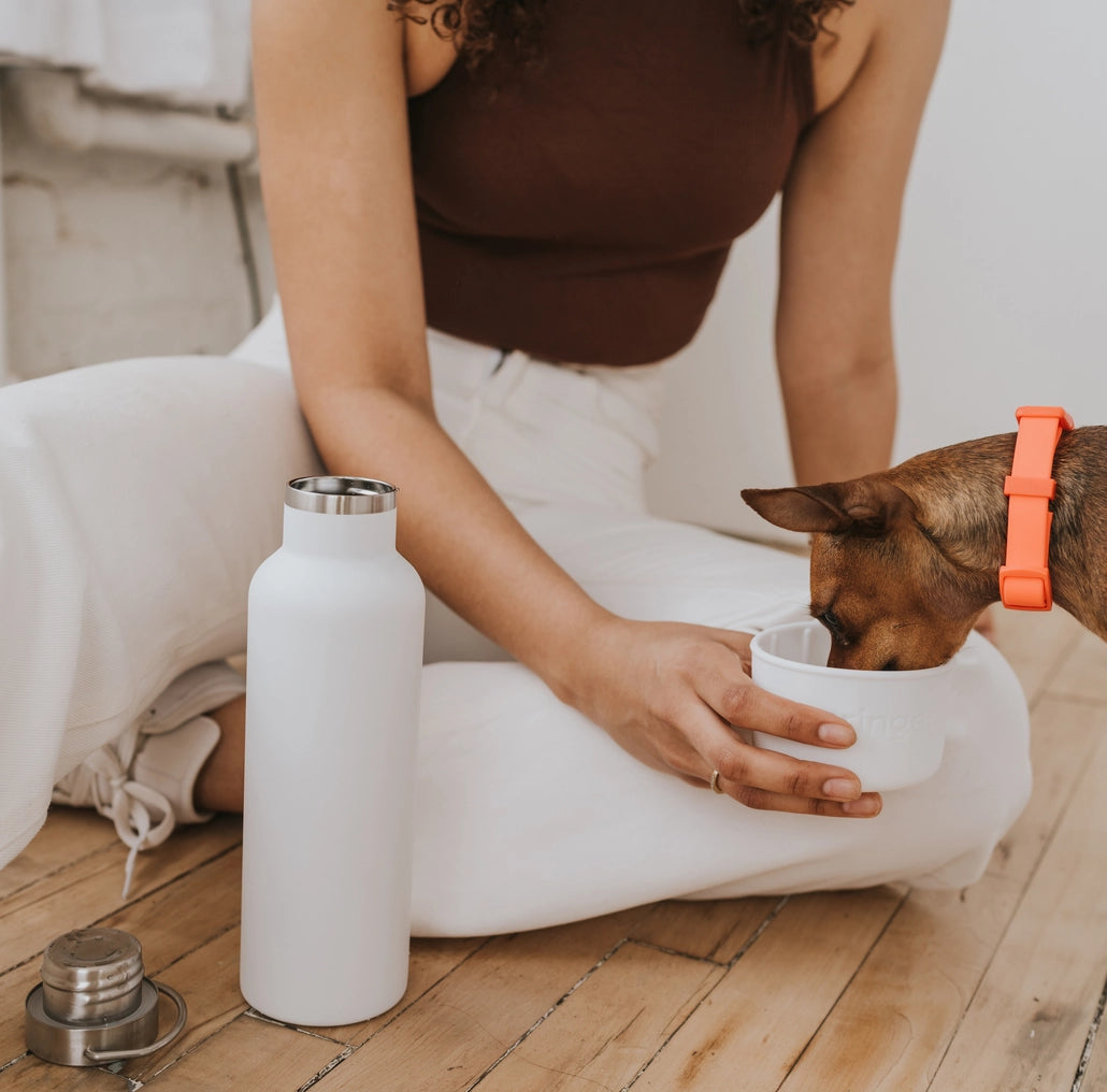 Dog & Me 24oz Insulated Water Bottle