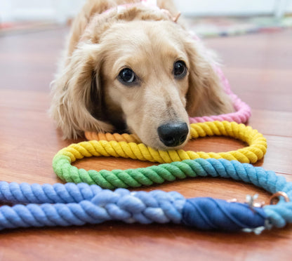 Dog Rope Leash - Sprinkles