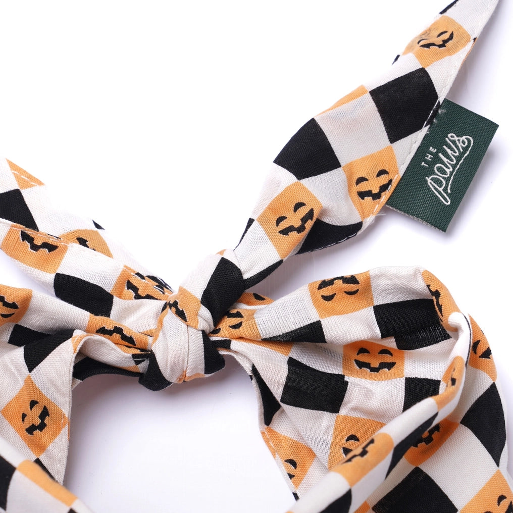 Trick or Treat Halloween Dog Bandana