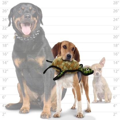 Tuffy Ocean Turtle, Tough, Durable Dog Toy